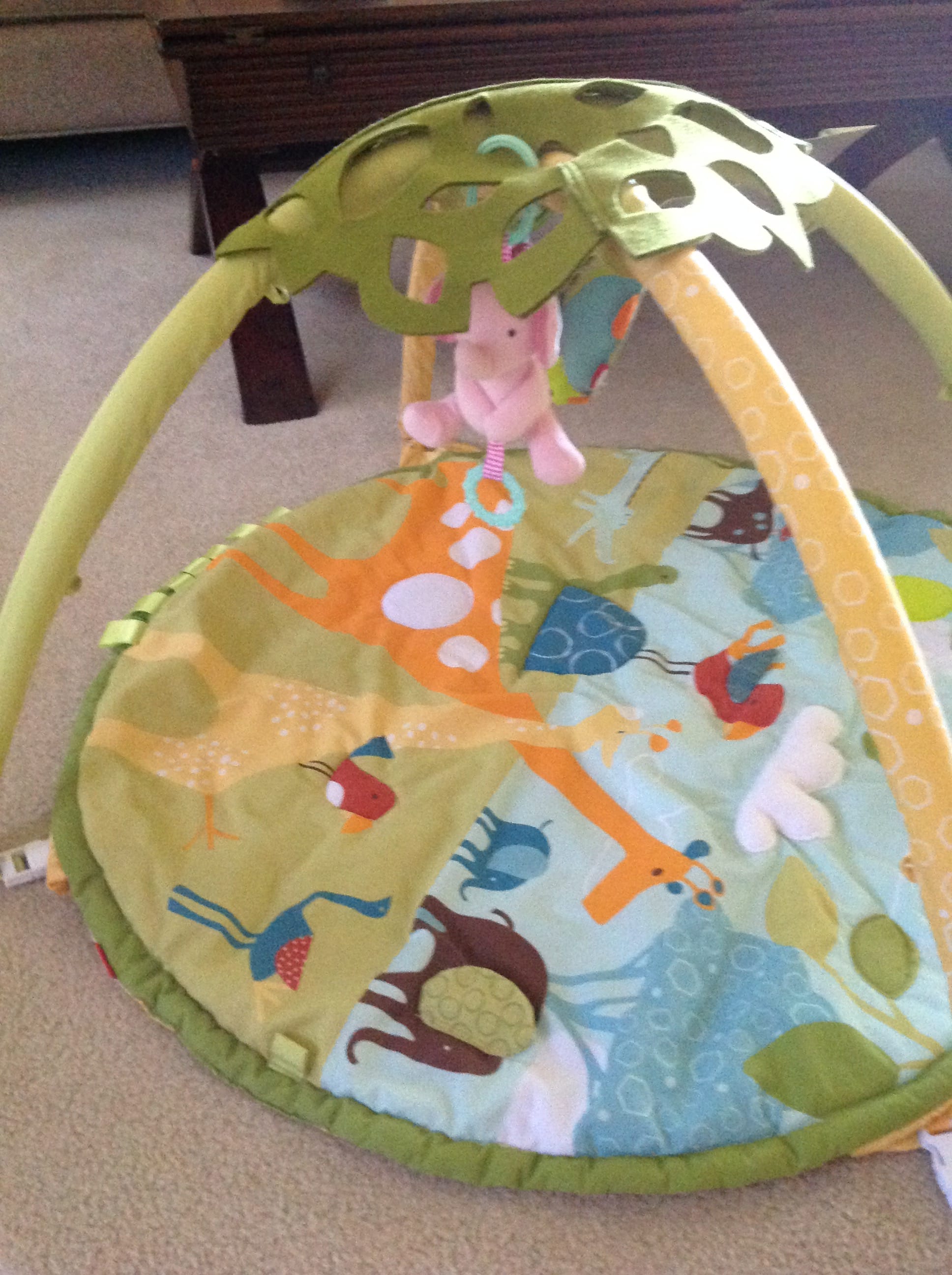 Baby Gym Photo