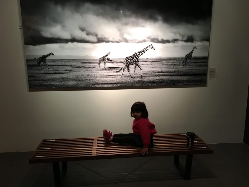 Monthly recap: February 2016