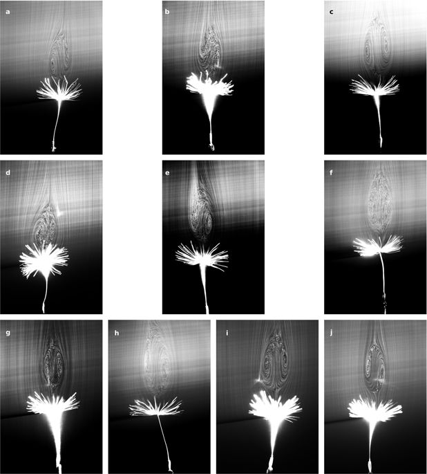 41586_2018_604_Fig5_ESM